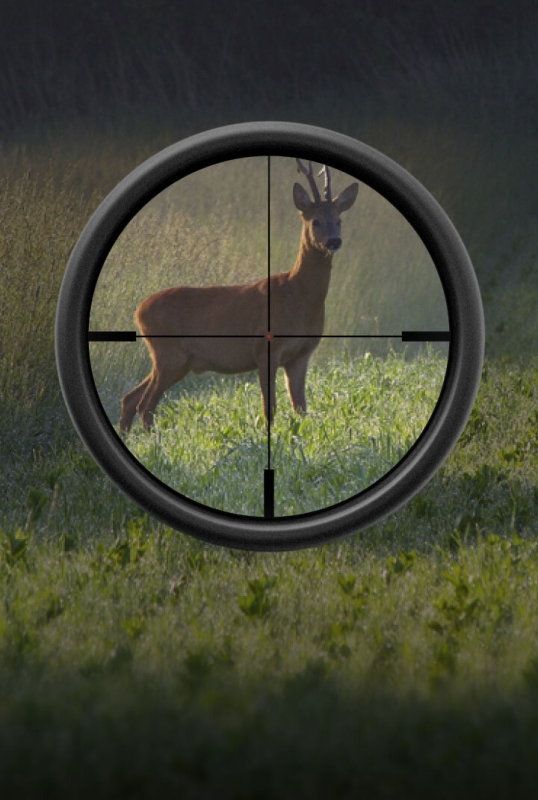 Luneta Blaser 4-20x58 IC - imagine 8